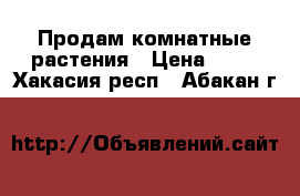  Продам комнатные растения › Цена ­ 50 - Хакасия респ., Абакан г.  »    